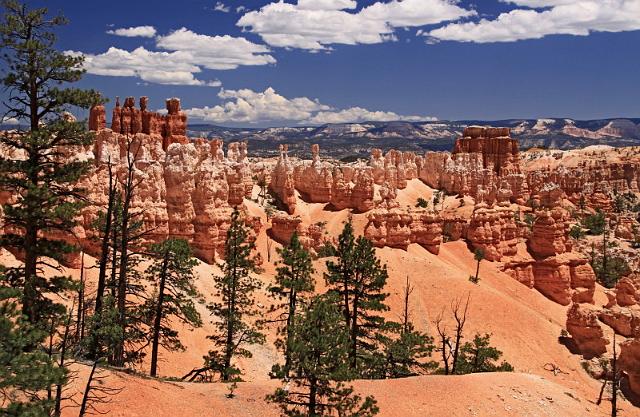 057 bryce canyon, peek a boo trail.JPG